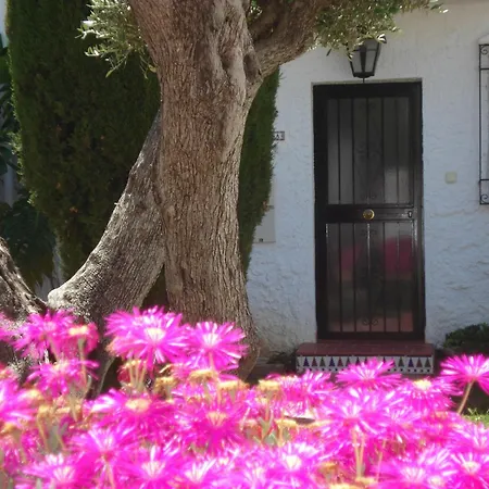 El Capistrano Sur 2*