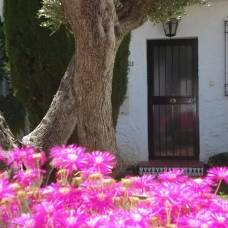 El Capistrano Sur 2*