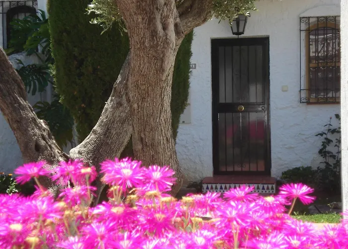 El Capistrano Sur 2*