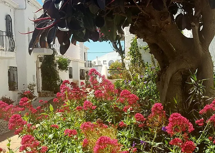 Resort El Capistrano Sur 2*