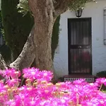 El Capistrano Sur 2*